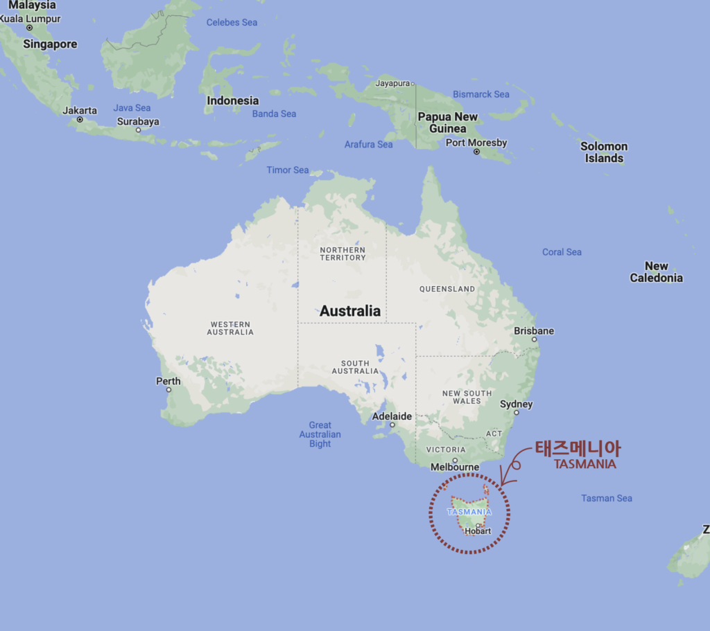태즈메니아 : 호주남쪽의 온대기후의 섬, 한국의 제주도처럼 호주인들이 사랑하는 섬이다. 남한의 면적보다 조금 작을정도로 상당히 큰 면적이다. (c) 2023. permacultureclub. All right reserved.